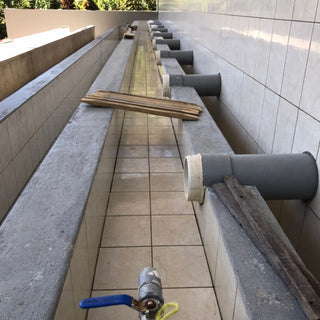 ラベンディシオン パカマラ ウォッシュド