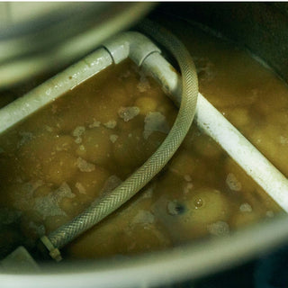 ラベンディシオン パカマラ ウォッシュド