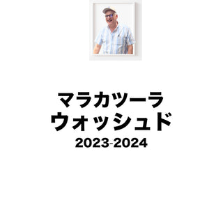 2024 past cropセール　ベヤオーロラ マラカツーラ ウォッシュド