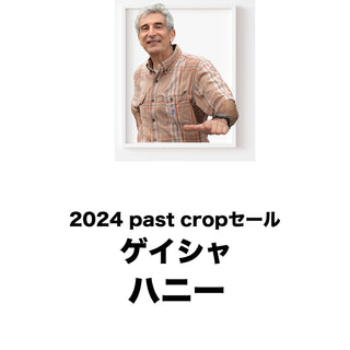 2024 past cropセール　エルコロッソ ゲイシャ　ハニー