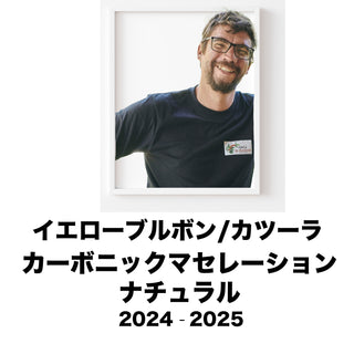 2025 ラベンディシオンファミリーエステート イエローブルボン/カツーラ カーボニックマセレーションナチュラル