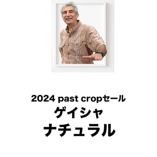 2024 past cropセール　エルコロッソ ゲイシャ　ナチュラル